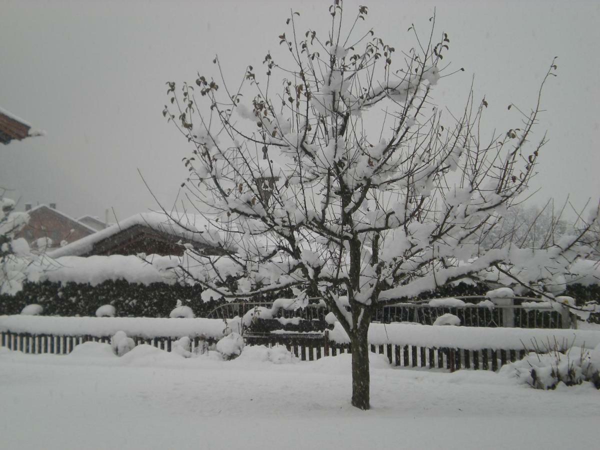 Hotel Garni Elisabeth เซลล์ อัม ซิลลา ภายนอก รูปภาพ